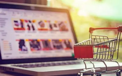 Comércio Eletrônico – O que vender (ou não vender) em sua loja virtual!