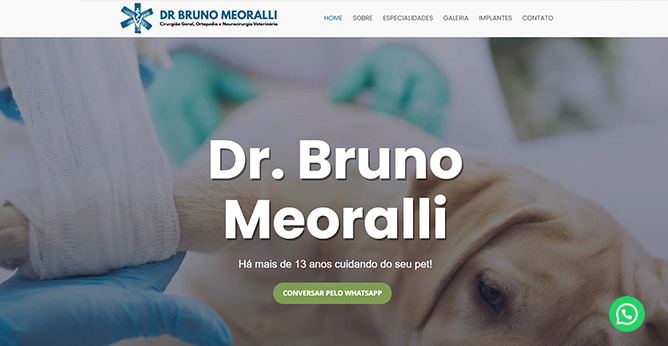 Dr. Bruno Orsi Meoralli - Médico Veterinário